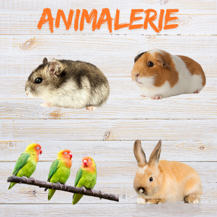 ANIMALERIE