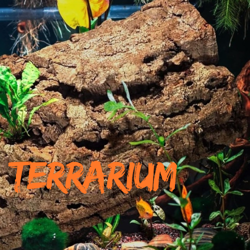 TERRARIUM