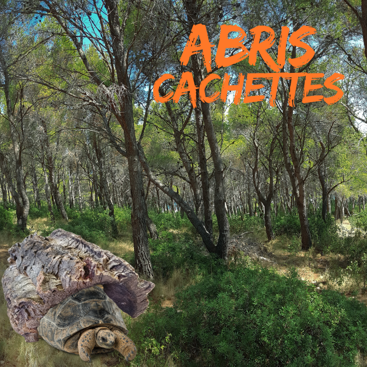 ABRIS / CACHETTES LIEGE