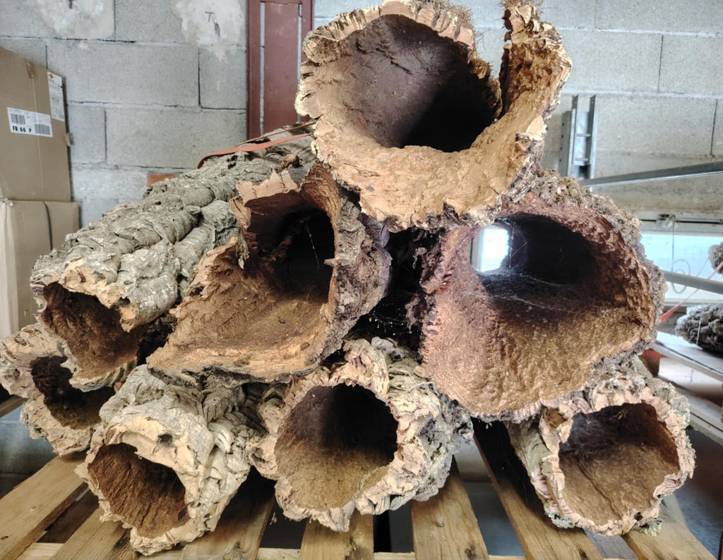 Canon et Tube de liège naturel