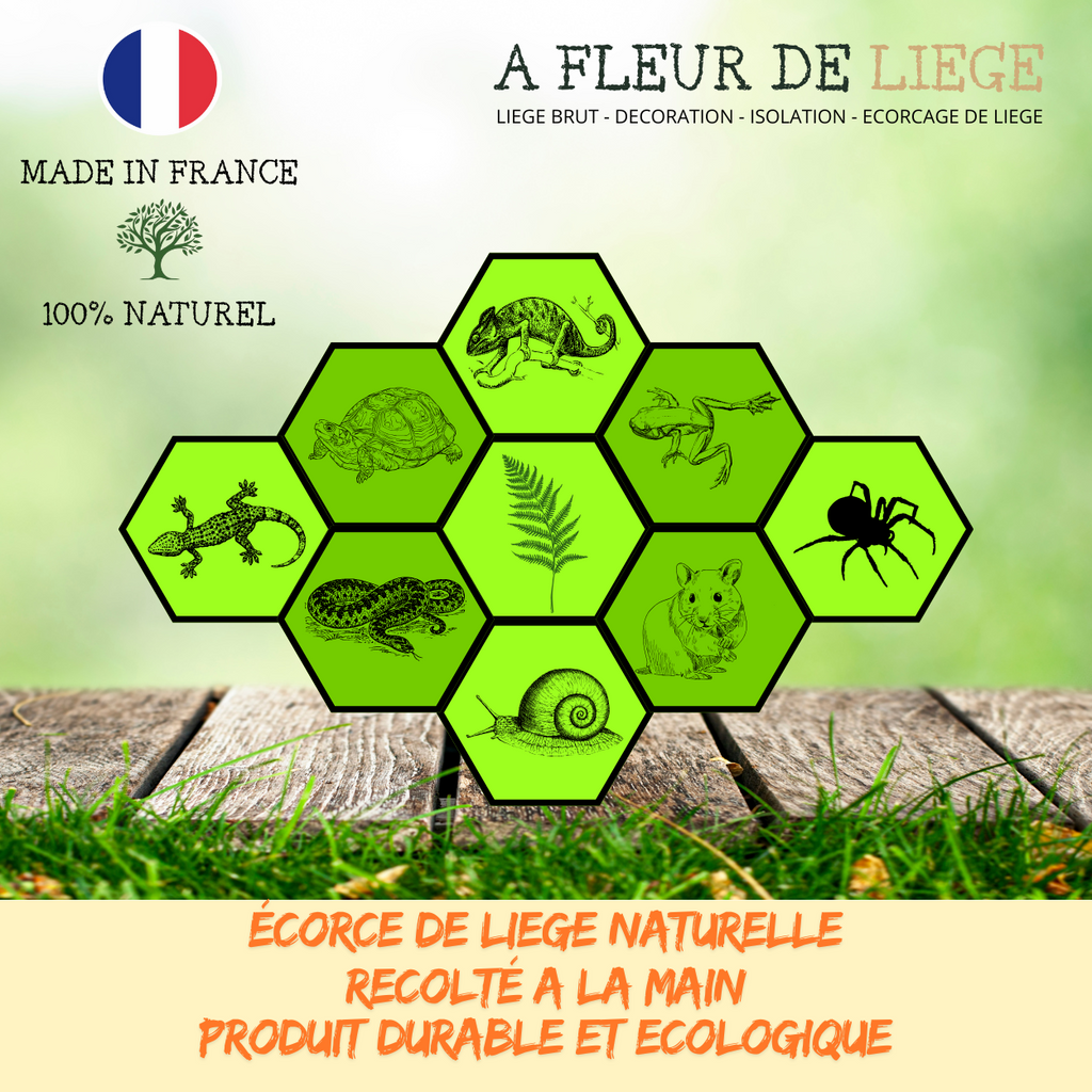 Branche en liège évidée