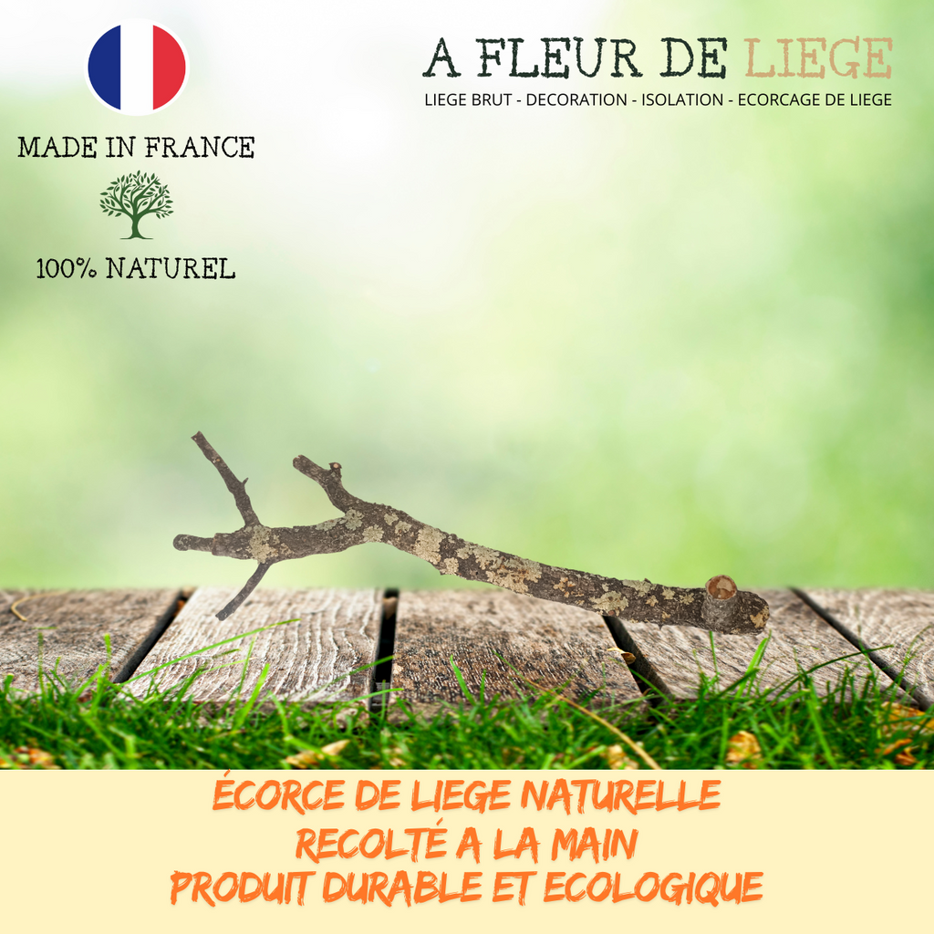 Branche de chêne liège naturelle