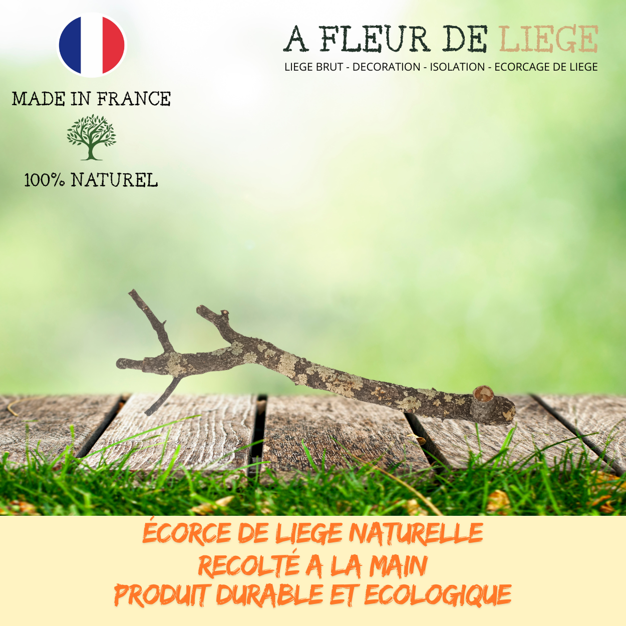 Branche de chêne liège naturelle