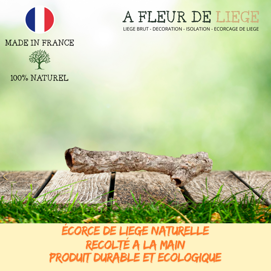 Branche en liège évidée