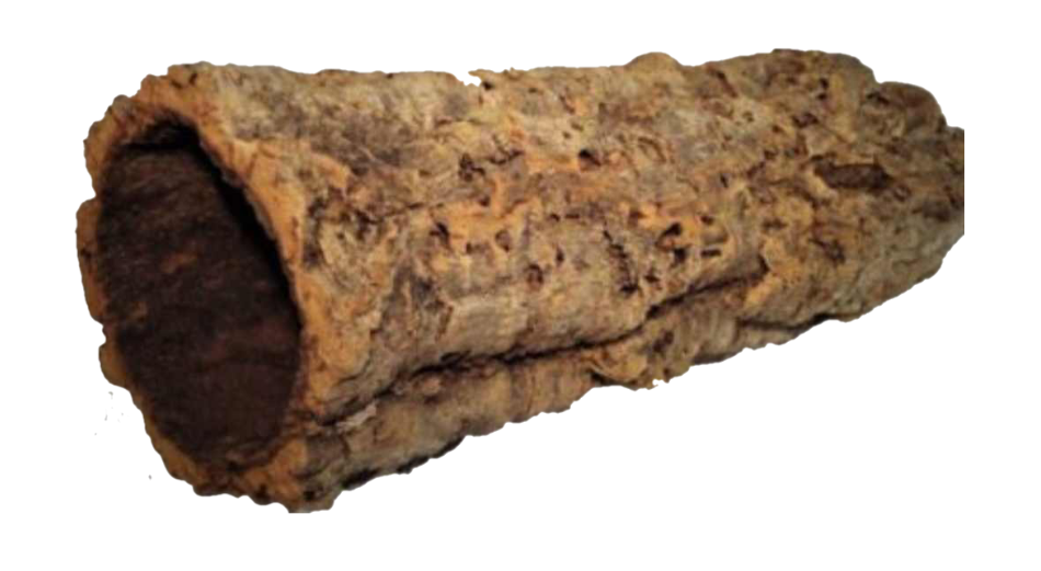 Canon et Tube de liège naturel