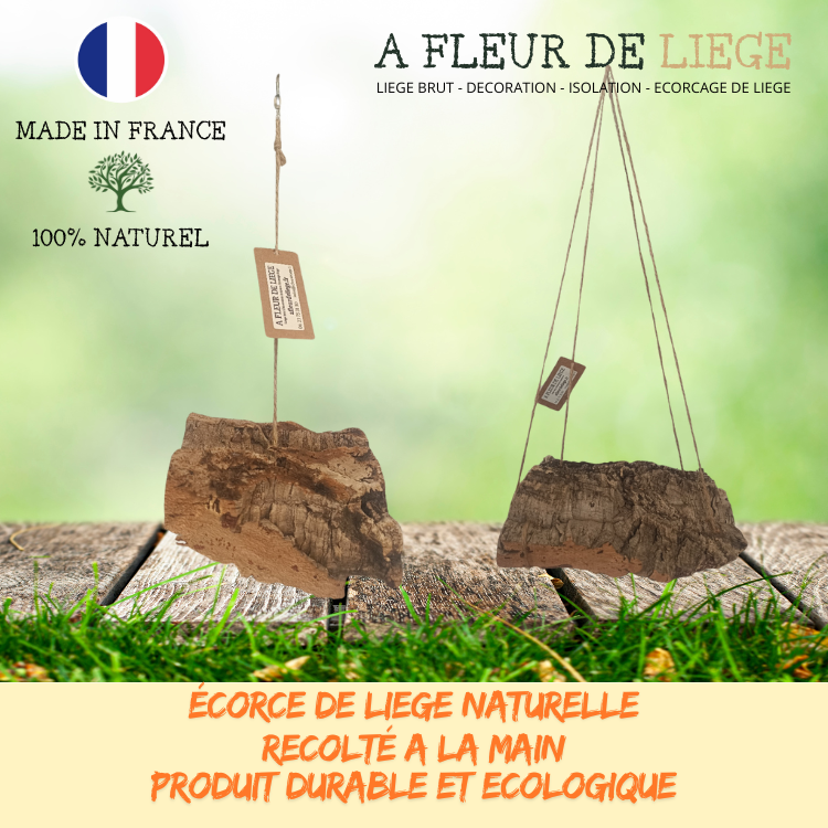 Balançoire plaque de liege brut