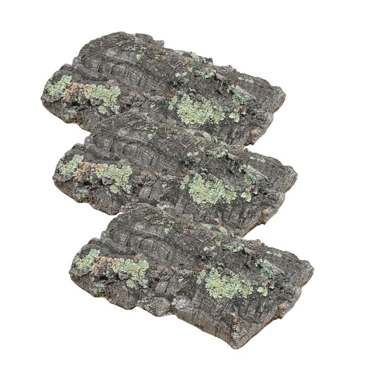 Plaque de liège mâle naturel