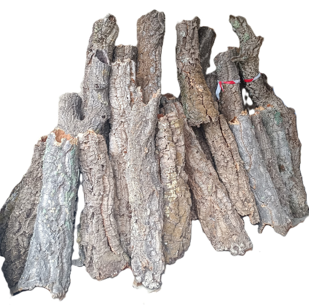 Canon et Tube de liège naturel