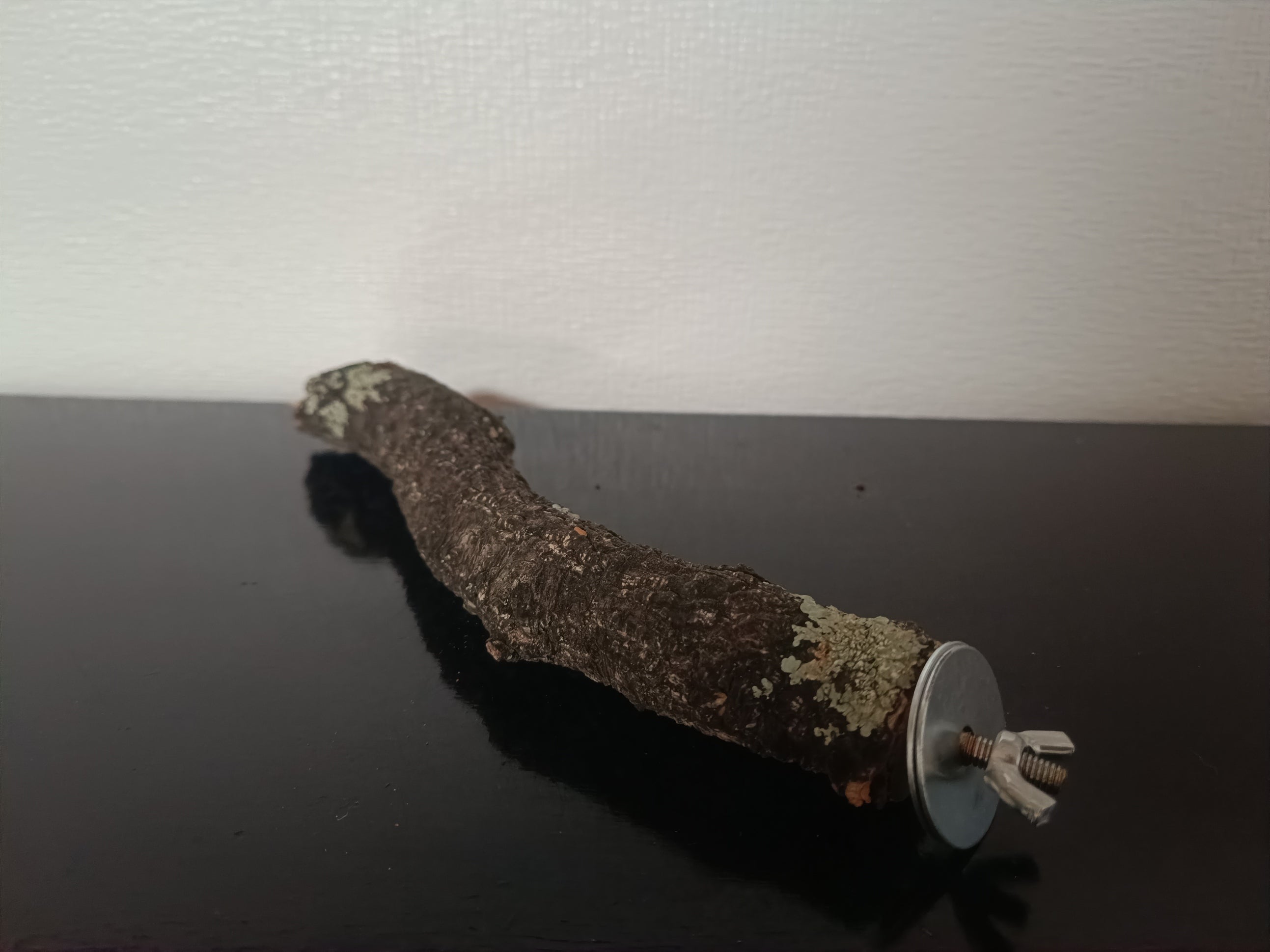 Perchoirs en branche de chene liege