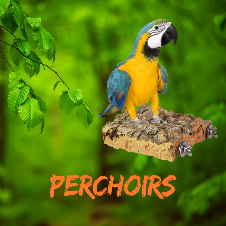 Perchoirs en liege male brut