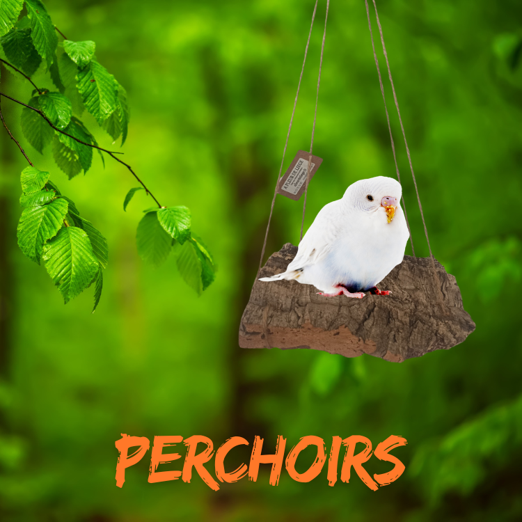 Balançoire plaque de liege brut