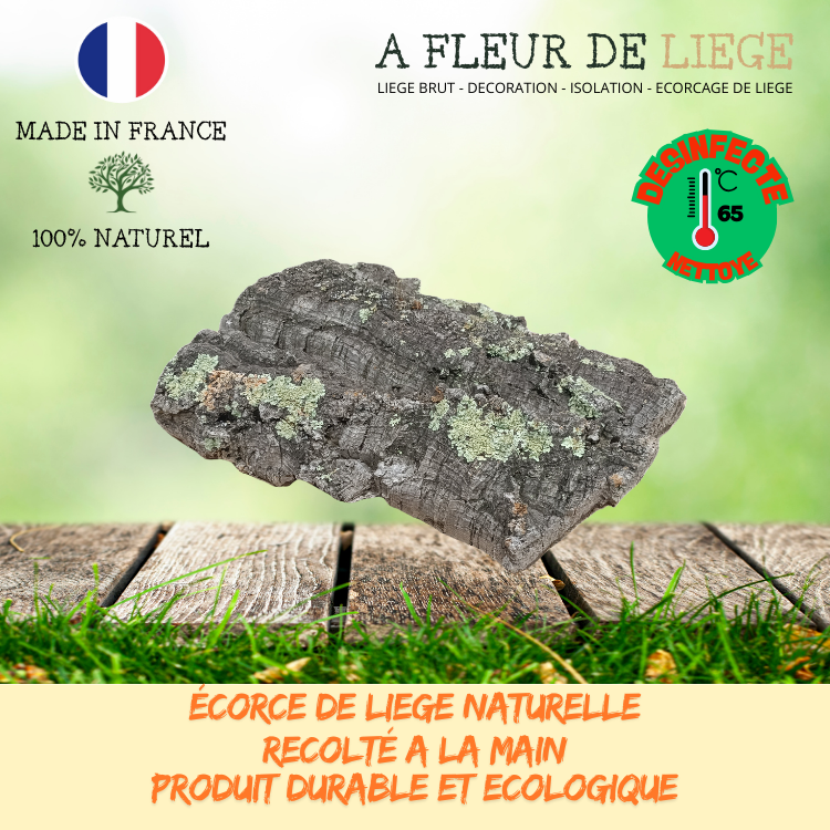 Plaque de liège mâle naturel