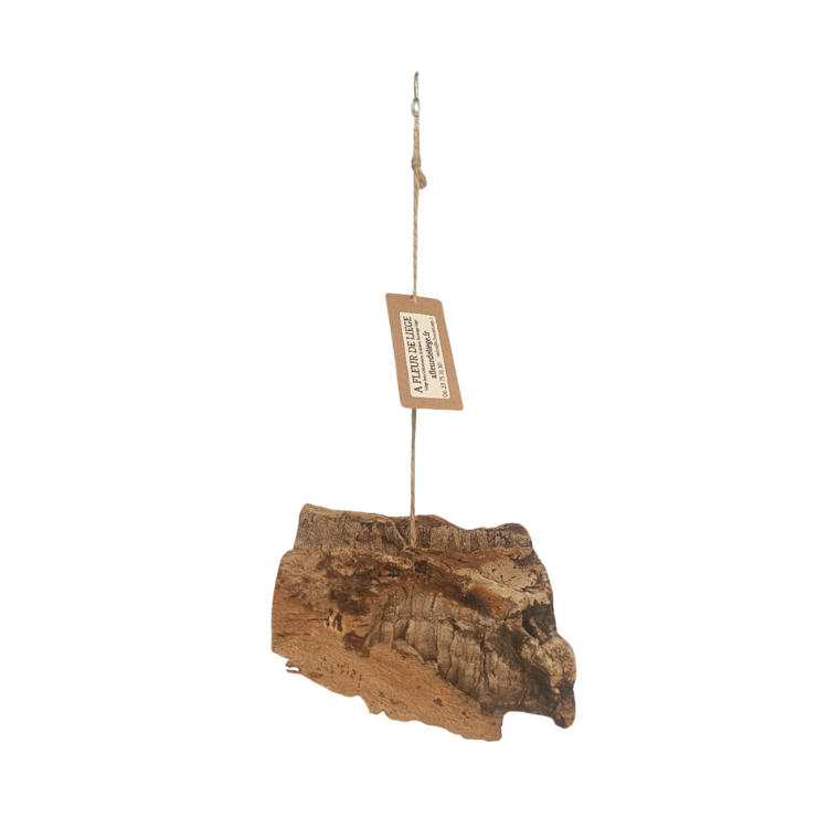Écorce De Liège Naturel 1 Kg – Décoration Terrarium, Bricolage, Jouet Rongeurs/Oiseaux, Liège Brut Écologique Pour Reptiles Et Créatifs