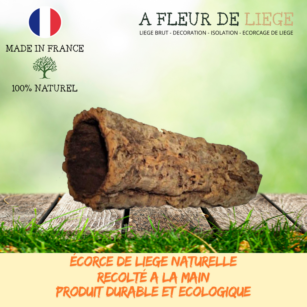 Canon et Tube de liège naturel